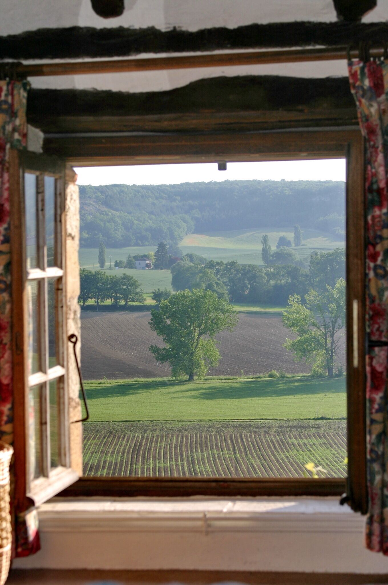 A window with a view of a rural landscape, including fields and trees.