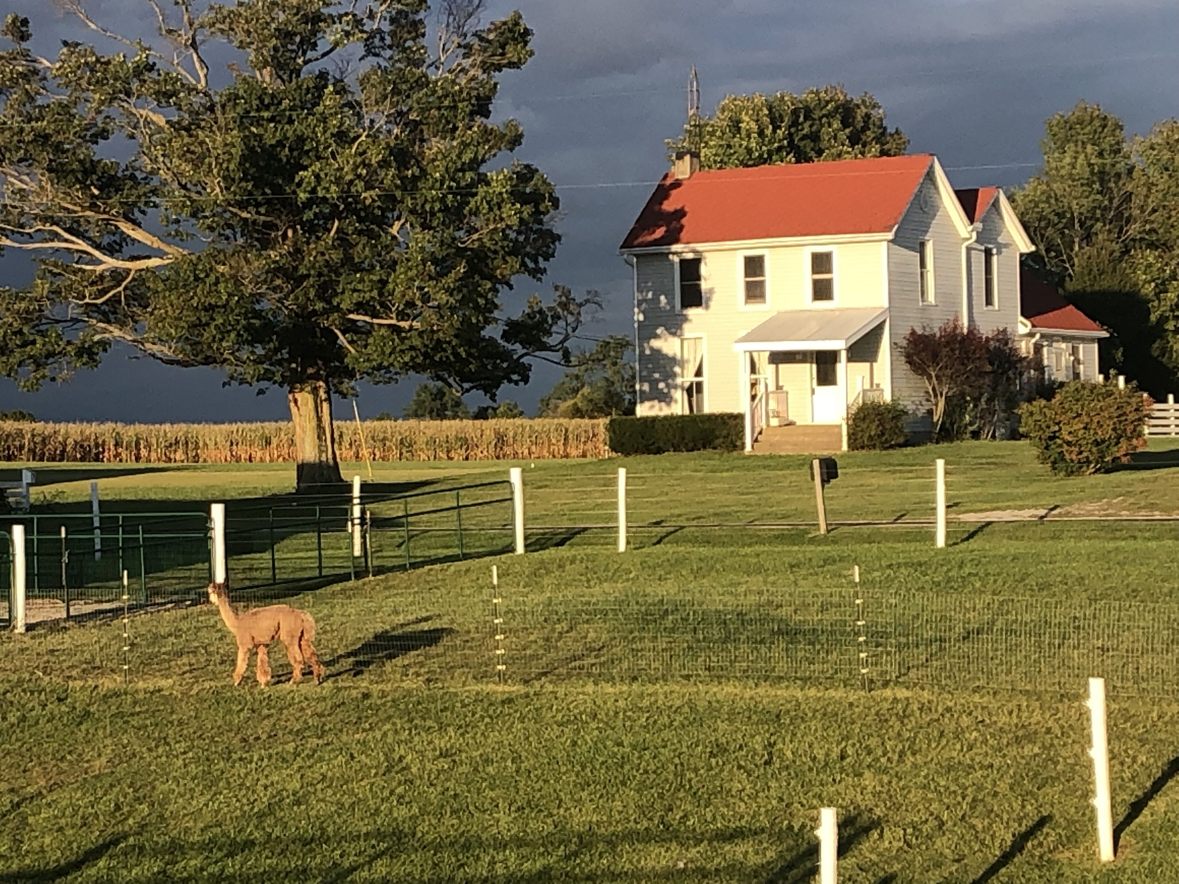 Farmhouse Getaway Between 2 Boat Ramps