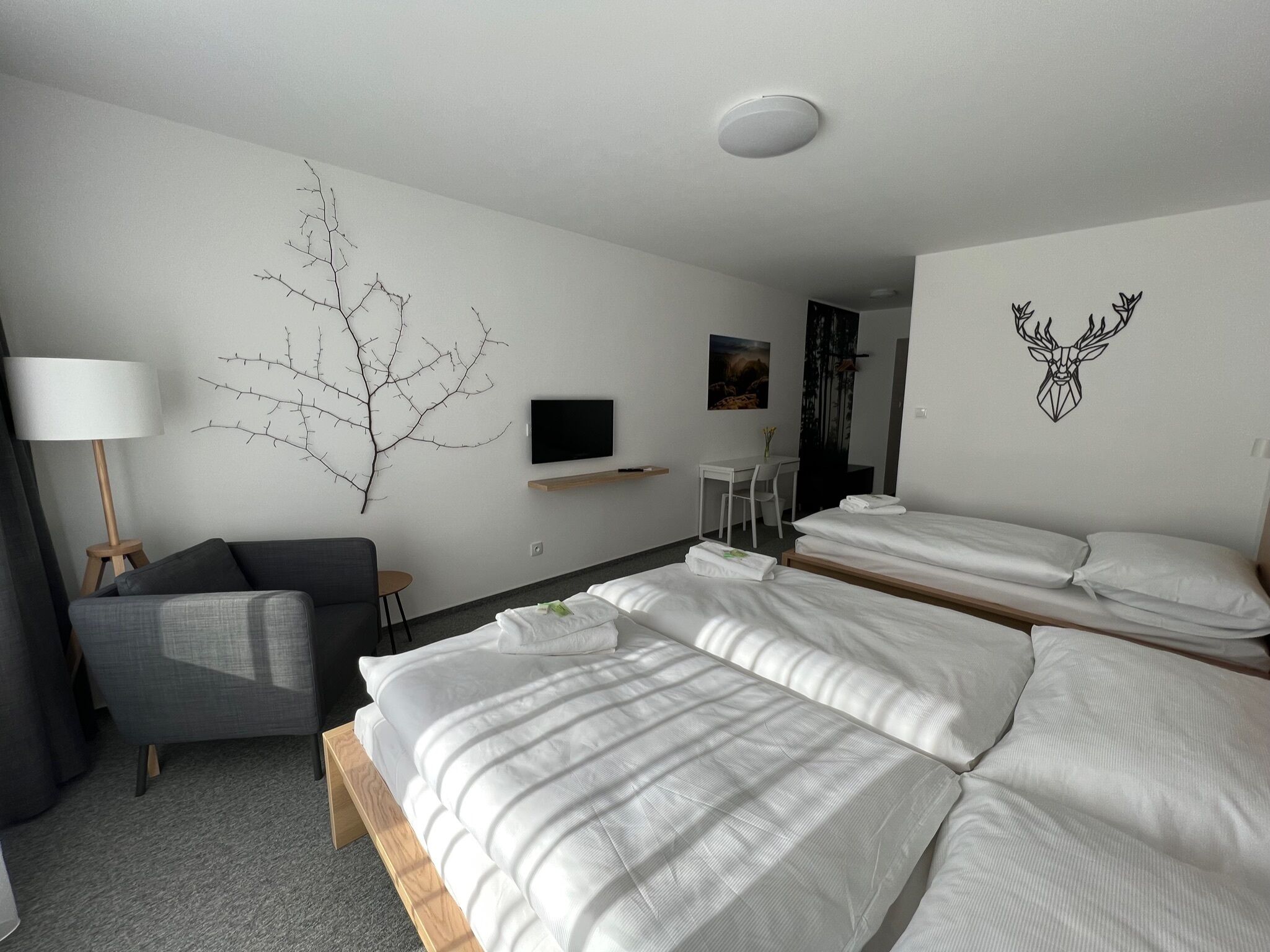 A hotel room with a large bed, a sofa, a desk, and a TV.