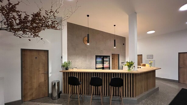 Un área de recepción moderna con un mostrador de madera, tres sillas negras, un reloj y una planta.