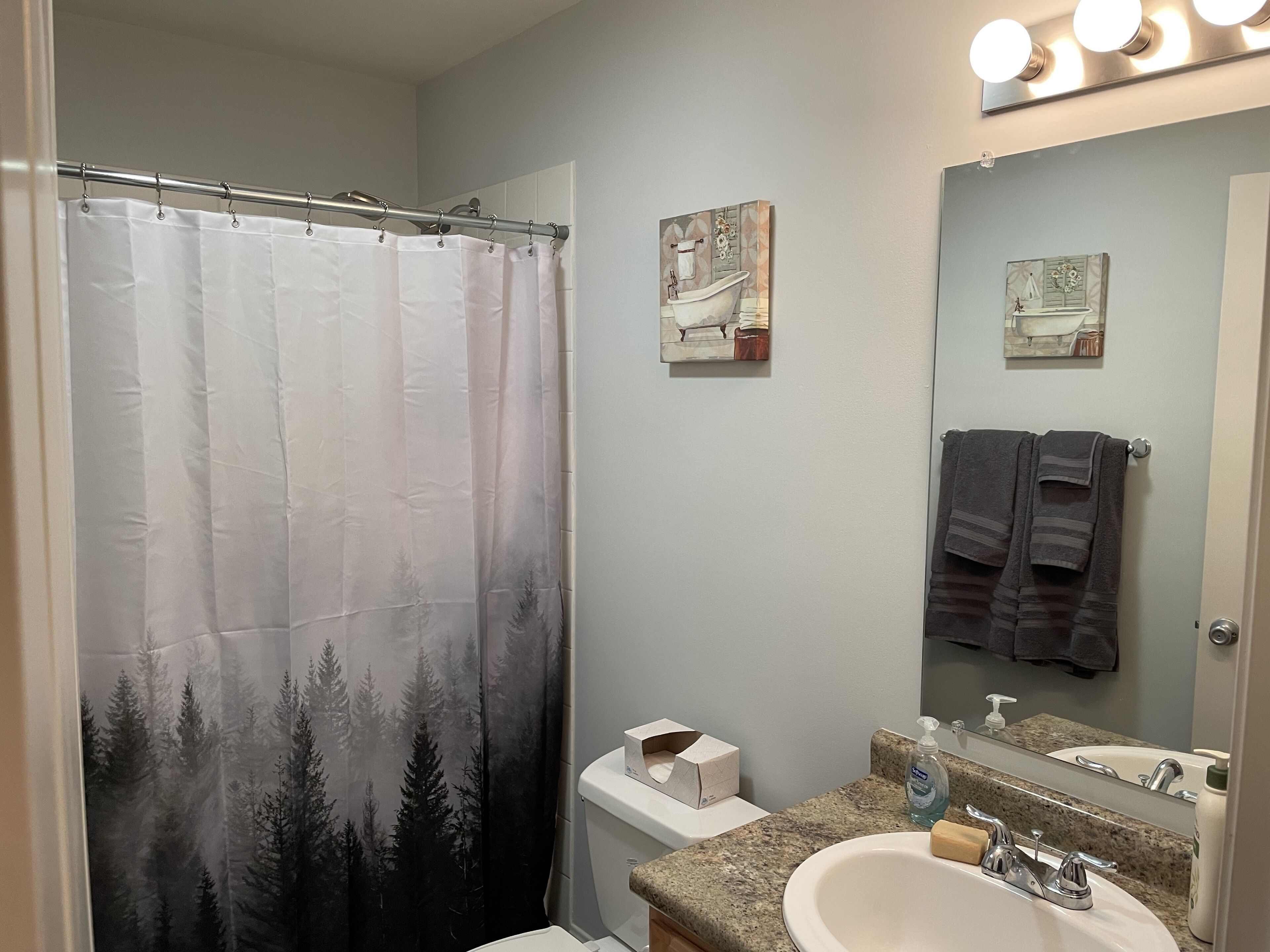 Five miles from the beach, newly remodeled home with lots of privacy.