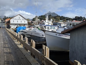 Marina