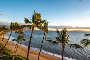 View from property - Direct Oceanfront! Sugar Beach Resort, Penthouse in paradise, AC, TV, WIFI, POOL (Kihei)
