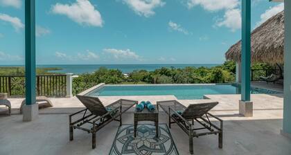 Sweeping panoramic views of the reef