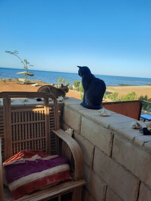 Property grounds - Beautiful villa with private beach on the Red sea (Бур-Сафага)