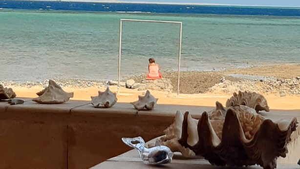 A beach with a person in the distance, a clear sky, and seashells in the foreground. - Beautiful villa with private beach on the Red sea (Бур-Сафага)