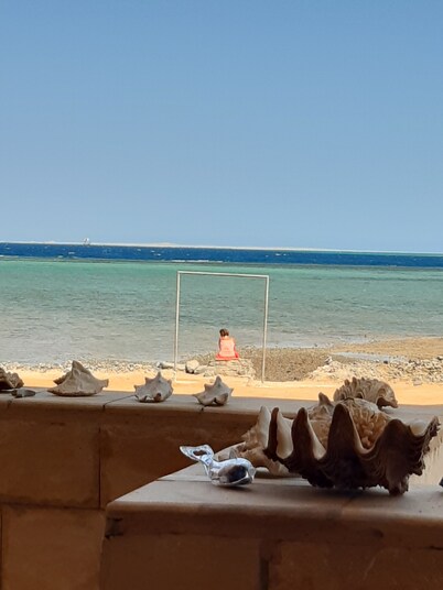 Beautiful villa with private beach on the Red sea
