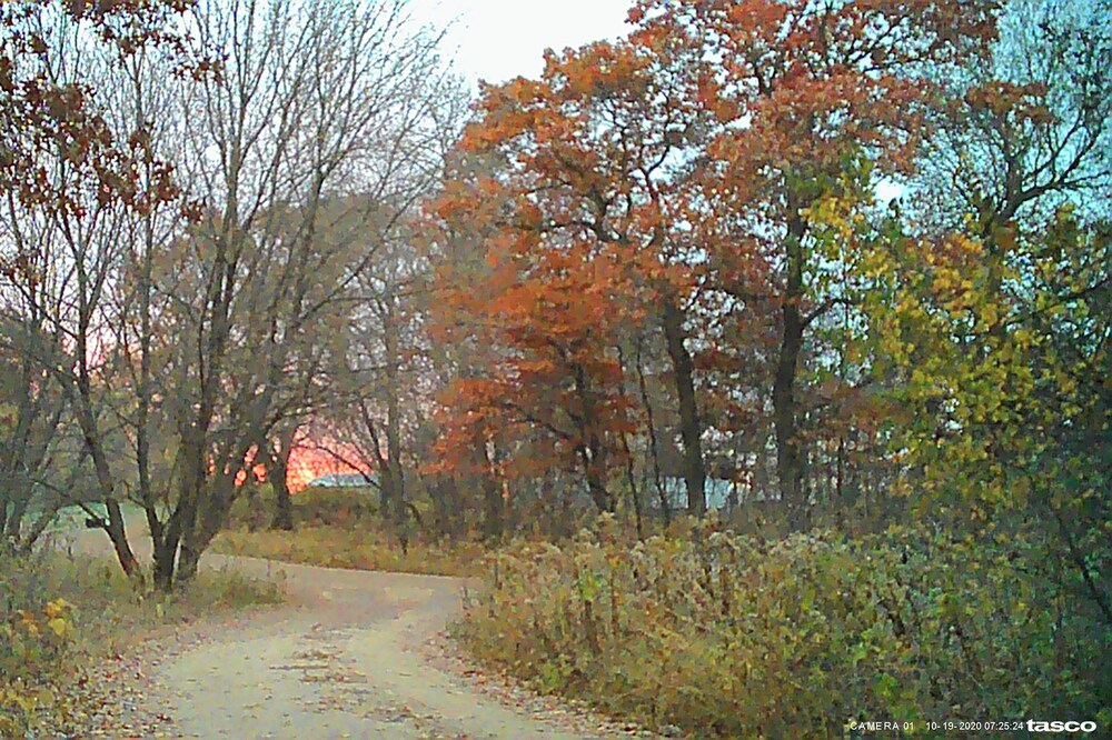 60 acres with over a Mile of river frontage. Wildlife, trails, fishing & more
