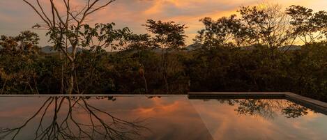 Piscine extérieure, piscine à débordement