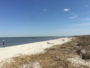 Plage à proximité, chaise longue, serviettes de plage