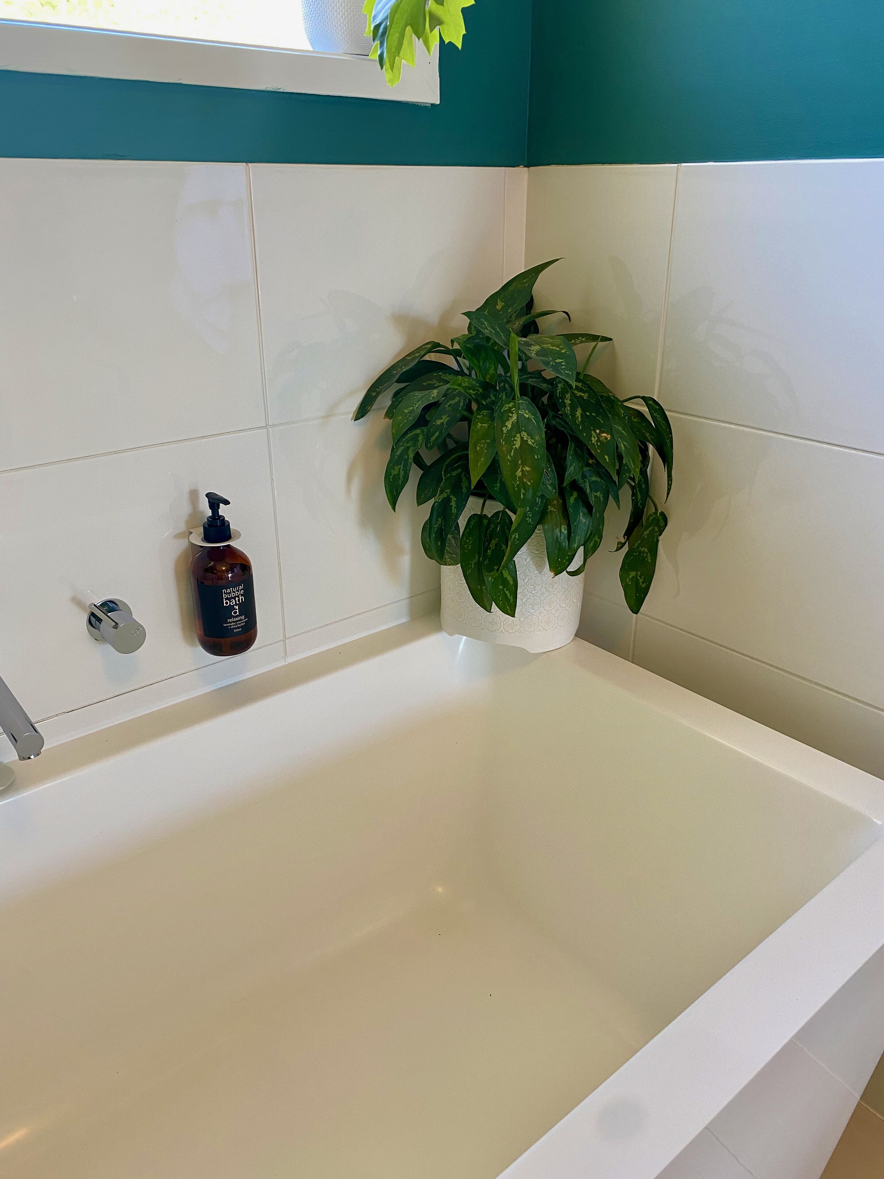 A bathroom with a white bathtub, a green plant, and a bottle of bubble bath.