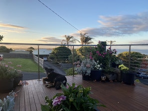 Property grounds - Salty Paws Dog Friendly Luxe Cottage (San Remo)