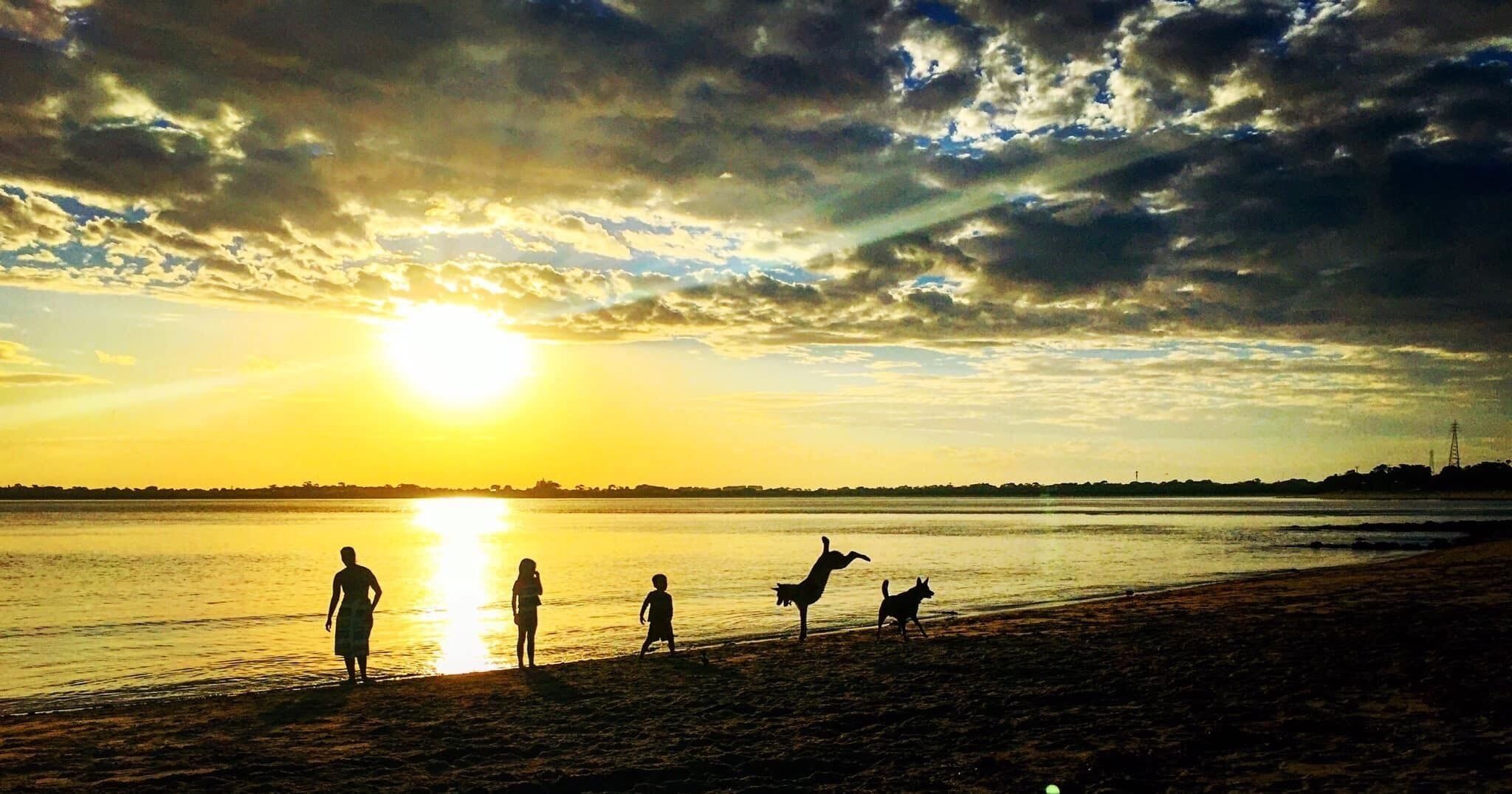 Atardecer sobre una playa con siluetas de personas y perros.