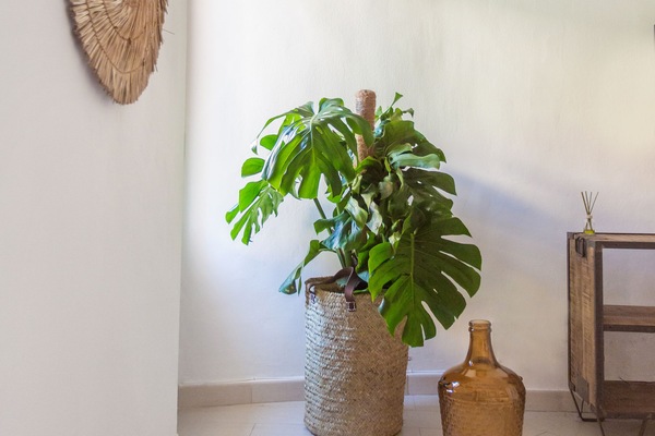 Apartment, Ensuite (1-4 pax) | Lounge