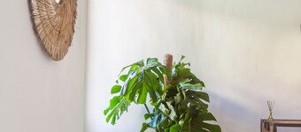 Alojamientos la Vila Mayor 7