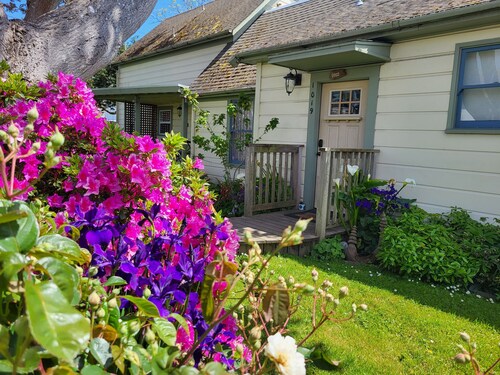 ✌️Downtown Digs, Enjoy shared sauna, hot tub & yard at this dog-friendly property in town