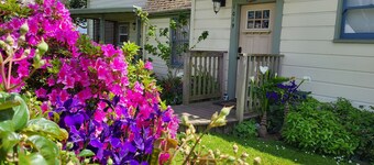 ✌️Downtown Digs, Enjoy shared sauna, hot tub & yard at this dog-friendly property in town