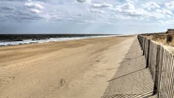 Playa en los alrededores