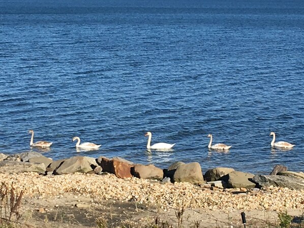 On the beach, sun loungers, beach towels