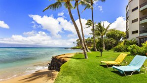 Un hôtel situé en bord de mer, doté d’une pelouse verdoyante, de deux chaises longues et de palmiers.