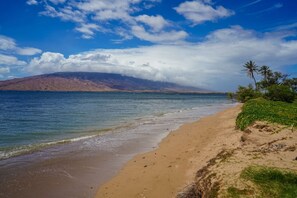 بالقرب من الشاطئ