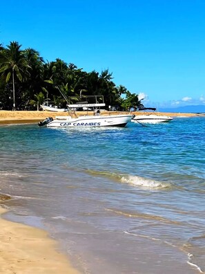 A beach with boats named 'CAP CARAIBES' anchored near the shore, surrounded by palm trees and a clear sky.