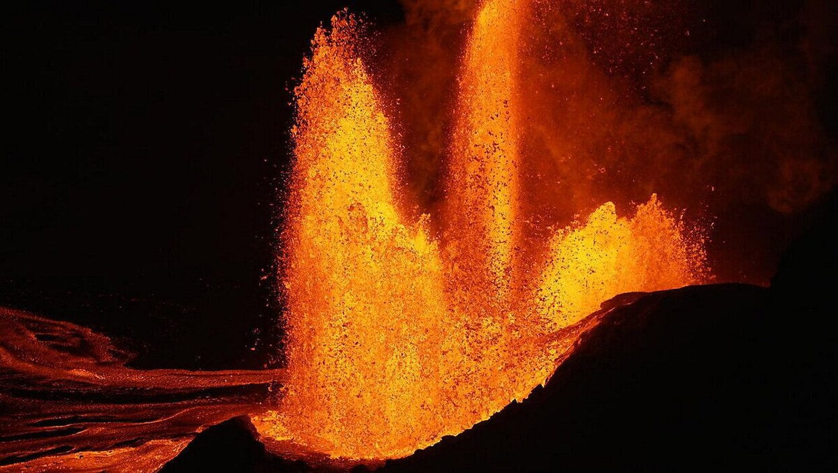 Imagen de perfil del propietario o de la propietaria