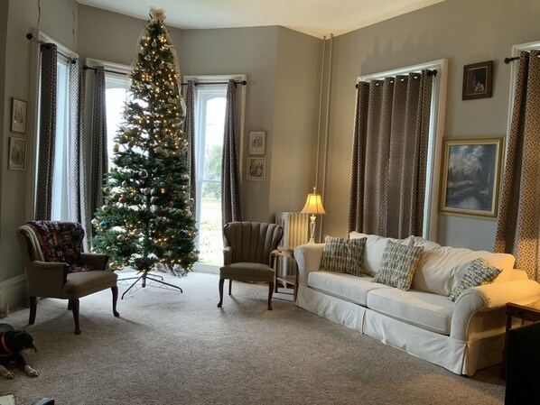 Smart TV, DVD player, books, computer monitors