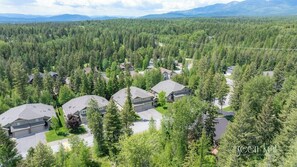 An aerial view of a residential area with houses surrounded by dense forest, featuring a clear sky and distant mountains.