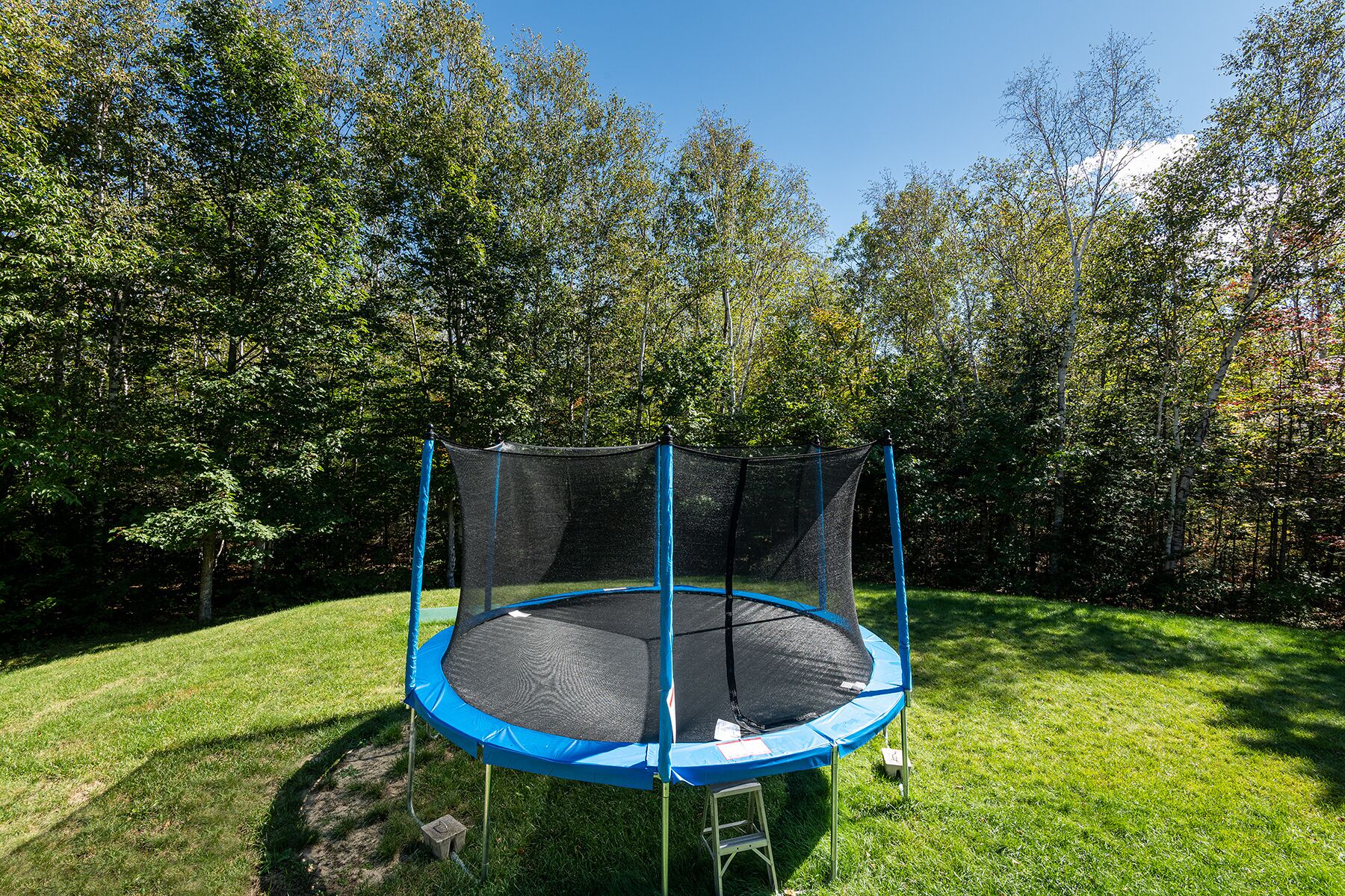 Un trampolín en una zona con césped rodeado de árboles.