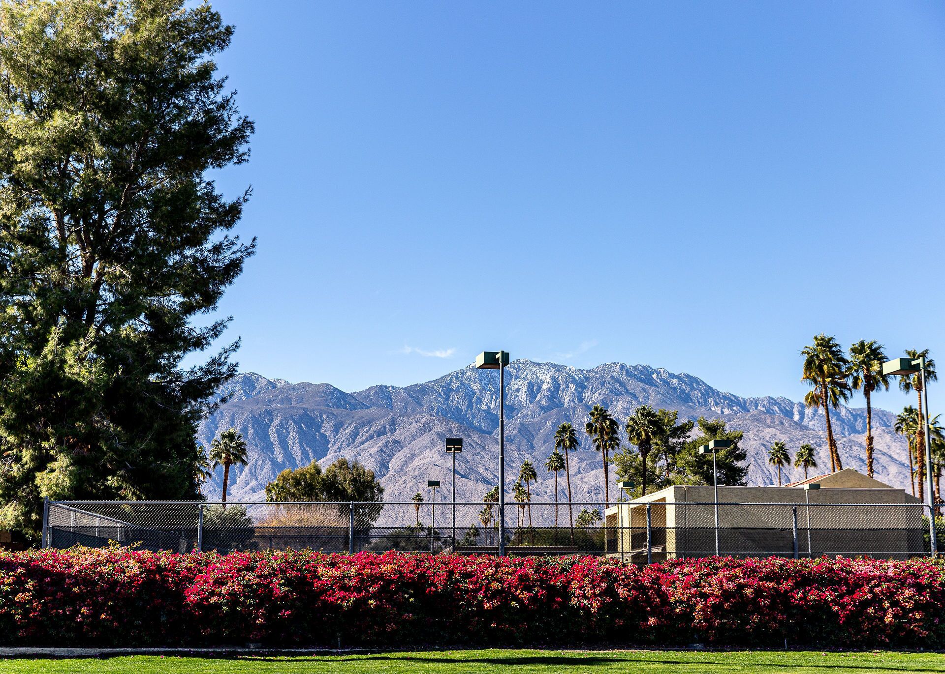 Magnificent Mountain View Townhouse, Single Story Residency 