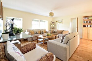 Televisión, reproductor de DVD y libros 