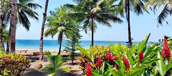 Cabañas Playa Terco