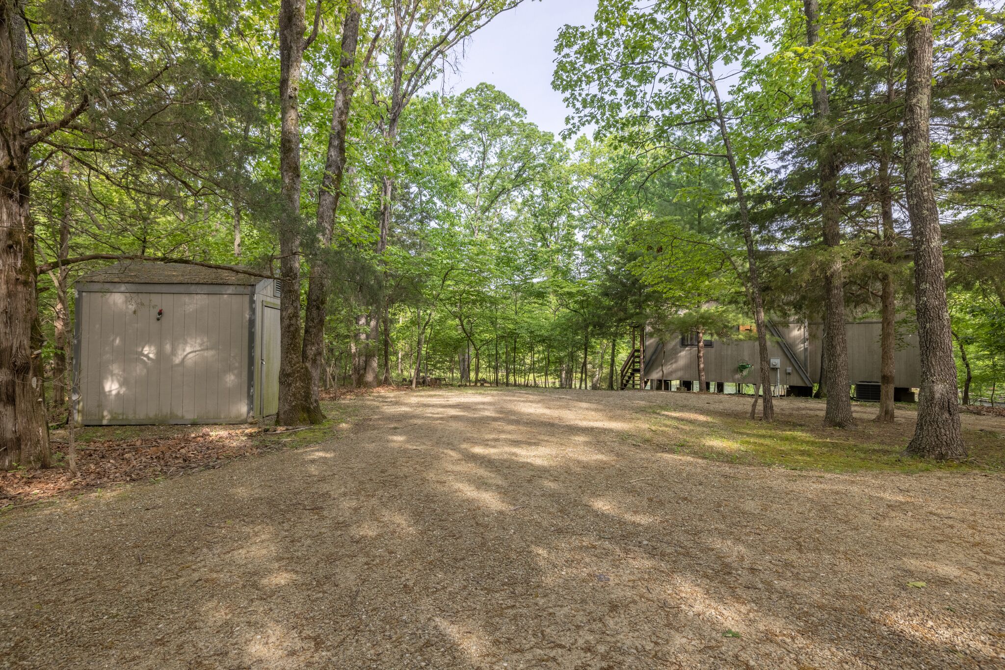 A campground with a single large shed, surrounded by tall trees and a clear sky.