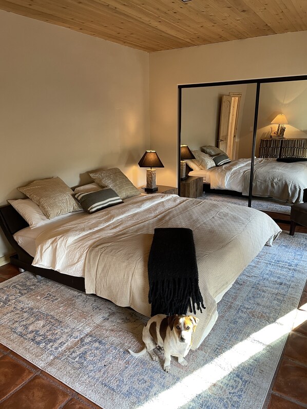 Une chambre avec un grand lit, une table de chevet avec une lampe, un miroir et un chien allongé sur le sol.