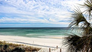 A beach with a clear sky, a sandy shore, and a palm tree. - Beautiful Owner Managed Condo at the Crescent - Best Complex in Destin (Miramar Beach)
