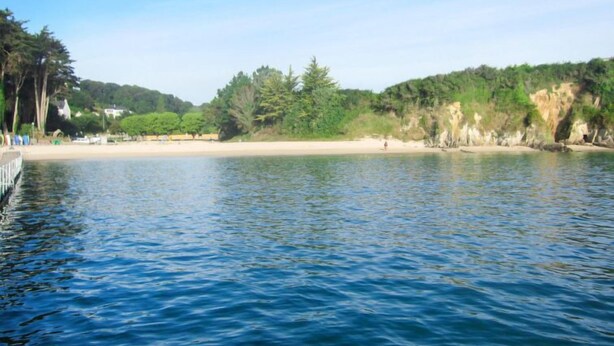 Ein ruhiger See mit einem Sandstrand und üppigem Grün entlang des Ufers.