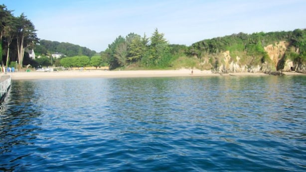 Een kalm meer met een zandstrand en weelderige begroeiing aan de oever.