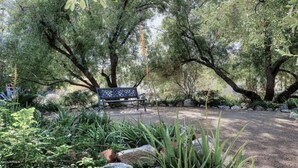 A park with a bench surrounded by trees and rocks.