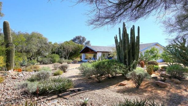 A desert-style house surrounded by various cacti and shrubs.