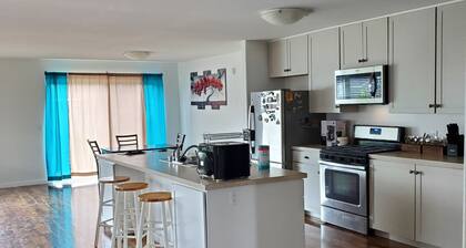 2026 Summer Vacation DOWNTOWN SOLDOTNA Spacious 4bd 2 baths, 8+ guests