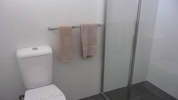 Combined shower/tub, hair dryer, towels, soap