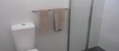A bathroom with a toilet, a glass shower enclosure, and two towels hanging on a rack.