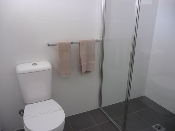 Un baño con inodoro, cabina de ducha de vidrio y dos toallas colgadas en un perchero.