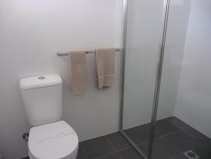 Combined shower/bathtub, hair dryer, towels, soap