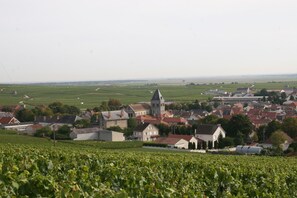 Eksteriør