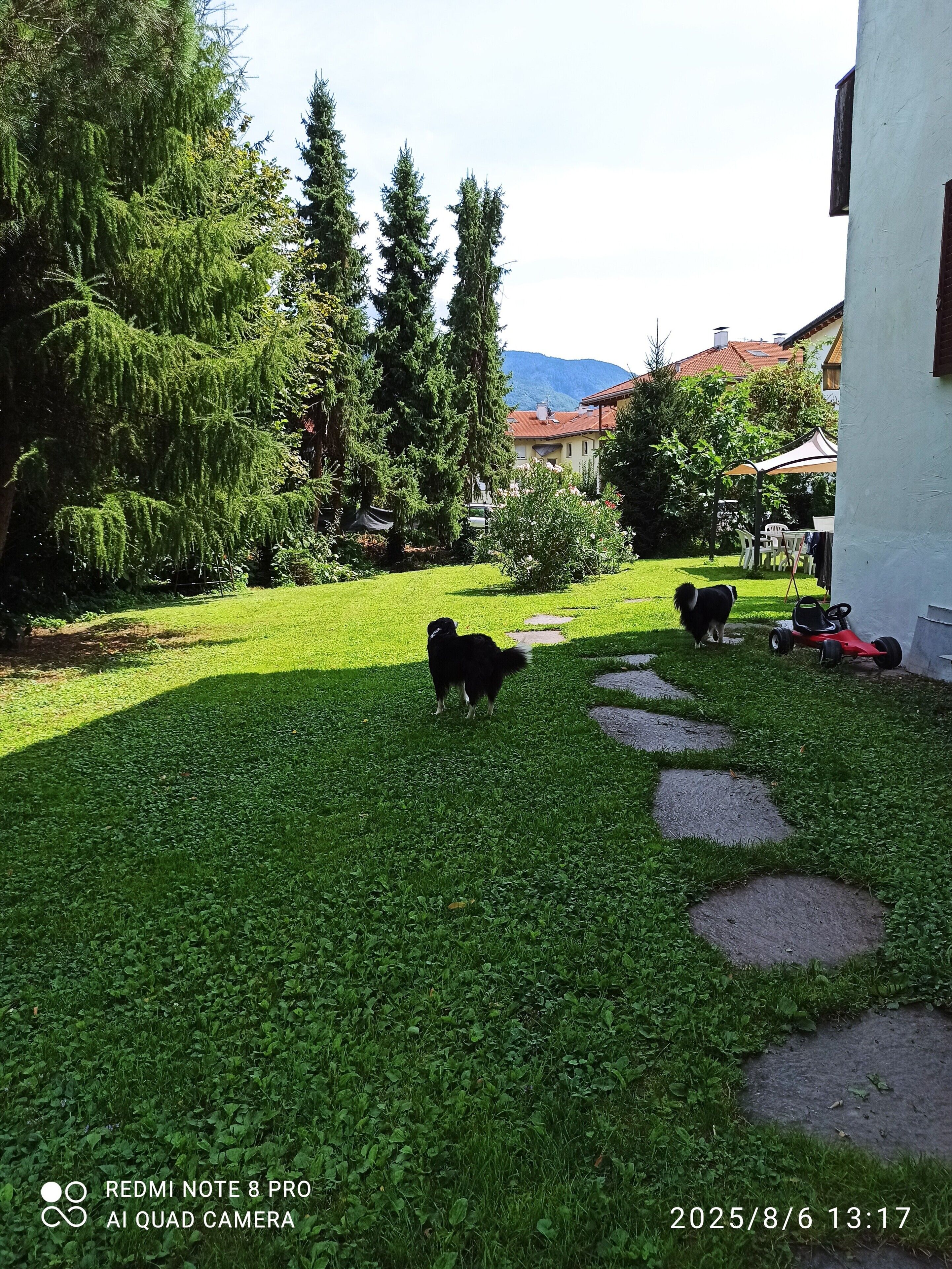 Parco della struttura