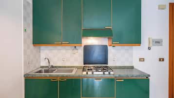 Fridge, oven, stovetop, cookware/dishes/utensils