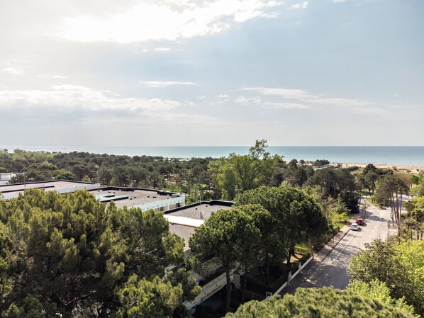 A coastal view with a road, trees, and a beach in the distance.