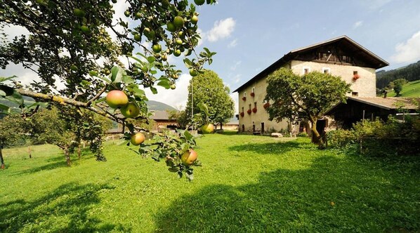 A building with a sloped roof and a garden with apple trees.